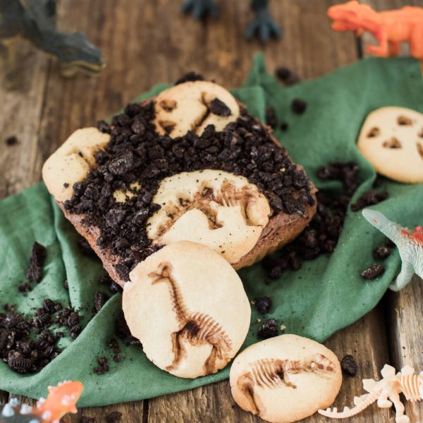 Dinosaur Fossil Baking Kit